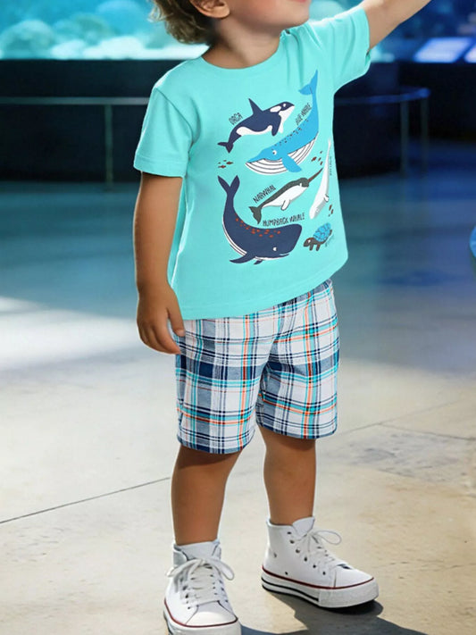 16fcd286-cdc7-4118-accf-ae6c57d290be-Max-Origin